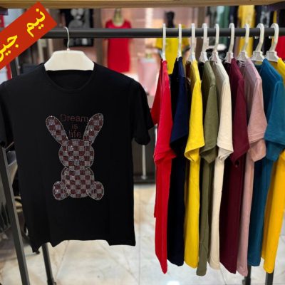 ✴️تیشرت ویسکوز صددرصد آستین کوتاه قواره دار اعلاء✴️ کد10017 فروش عمده پوشاک