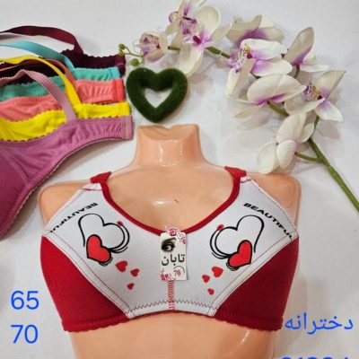 ⚜️سوتین ابری نخ ممتاز دخترانه⚜️ کد21384 فروش عمده پوشاک