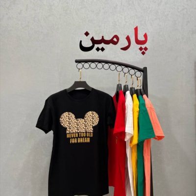 خرید عمده ✴️تیشرت لانگ سوپر پنبه فول قواره لش گرم بالا اعلاء✴️ کد10284