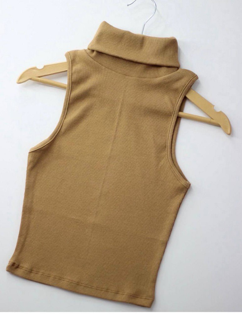 تاپ یقه اسکی بیسیک کد 136174 - خرید تاپ و تیشرت زنانه عمده