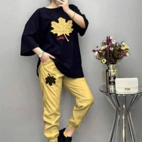 ست تیشرت شلوار بگ کد 139866 - خرید ست تیشرت شلوار زنانه عمده