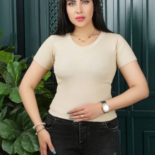 تیشرت بیسیک فانریپ کد 133787 - خرید تاپ و تیشرت زنانه عمده