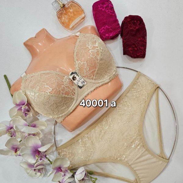 خرید عمده ️ست دانتل فنردار ️ کدa_40001