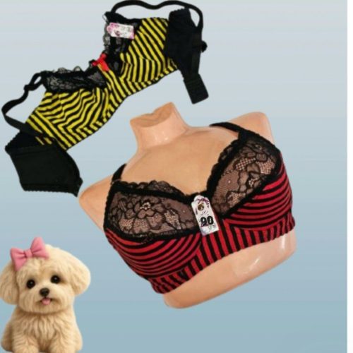   سوتین نیمه دانتل فنردار  کد 137335 - خرید سوتین زنانه عمده