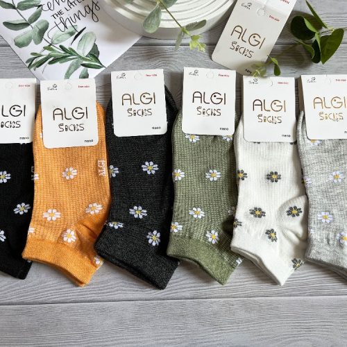 مچی زنانه،طرح گل بابونه،۶ رنگ فروش عمده پوشاک